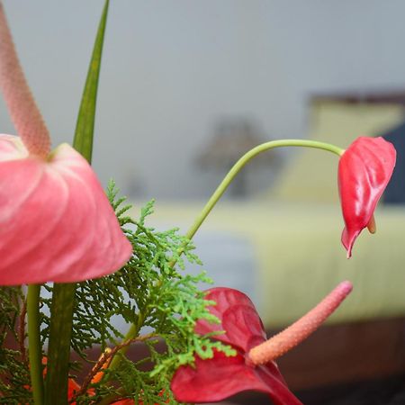 Senu Homestay 锡吉里亚 外观 照片