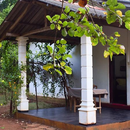 Senu Homestay 锡吉里亚 外观 照片