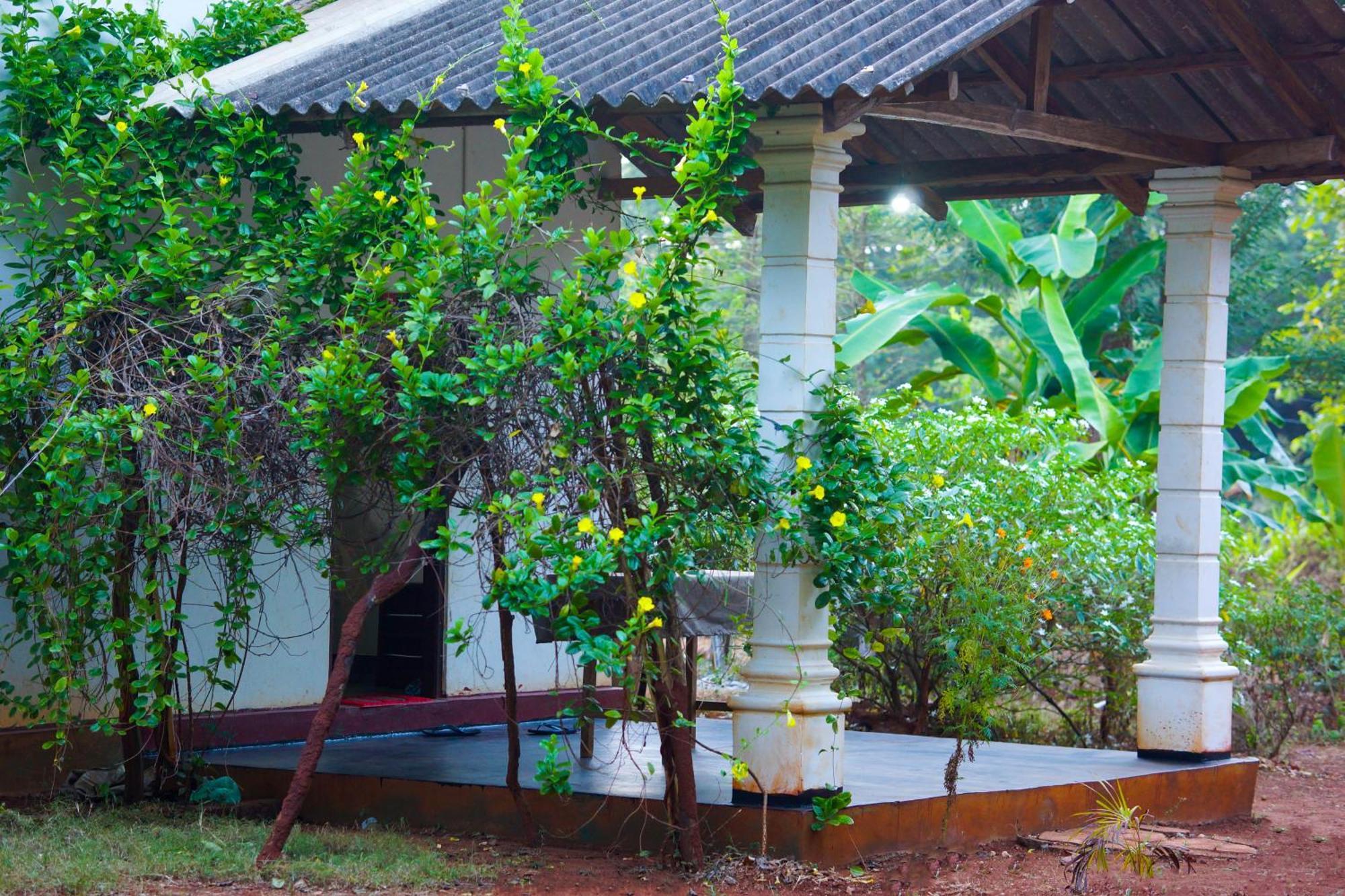 Senu Homestay 锡吉里亚 外观 照片