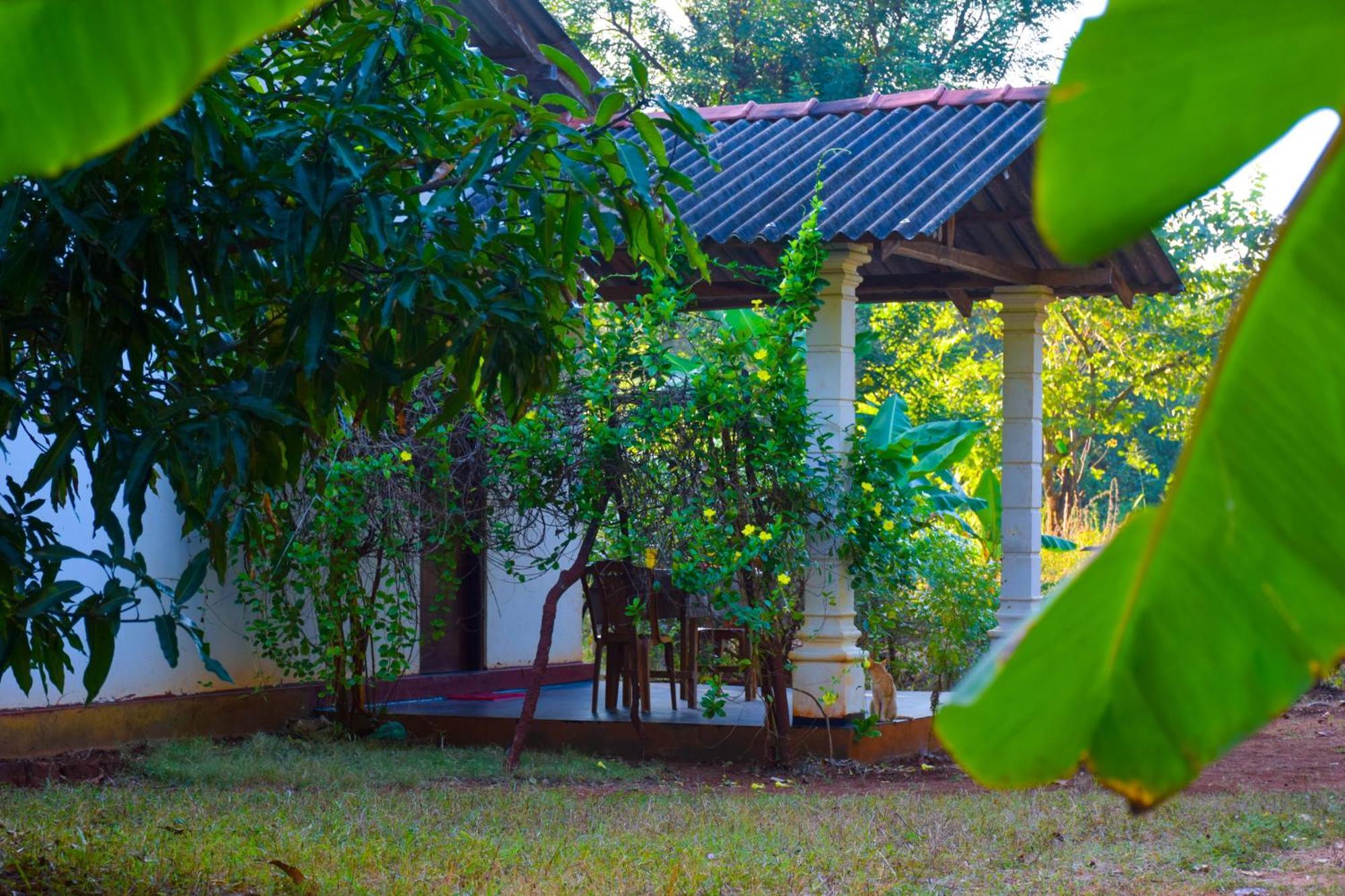 Senu Homestay 锡吉里亚 外观 照片